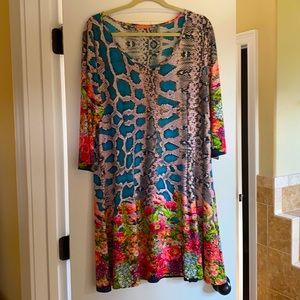 Simply Aster Dress EUC 2X